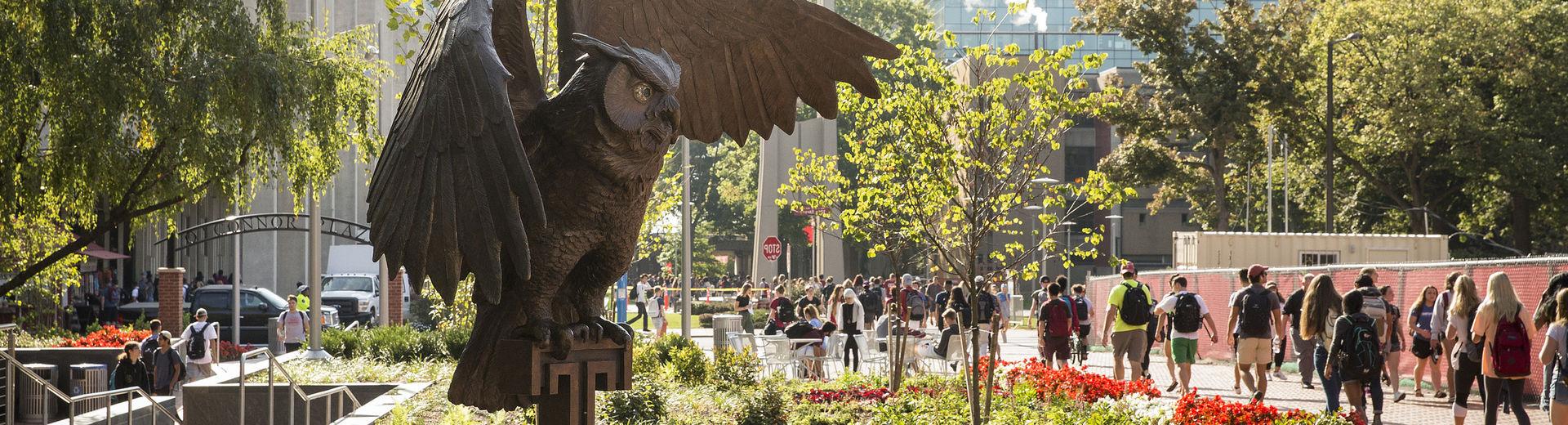 Owl statue in O'Connor Plaza on 主校区. 