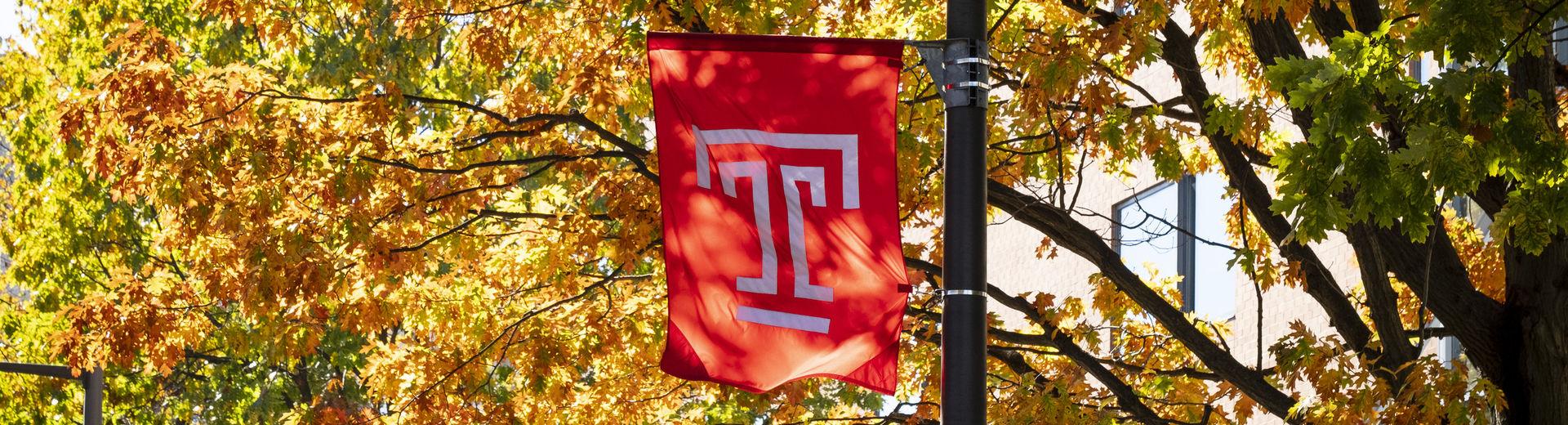 The cherry red Temple T flag on a fall day