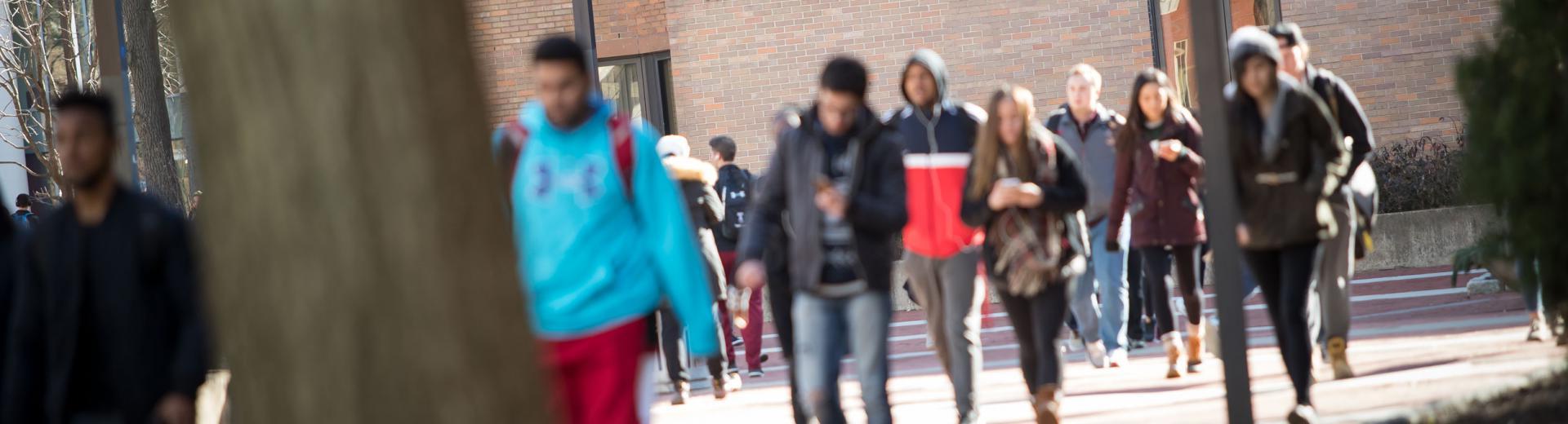 students walking on university campus during a class change